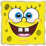 sponge