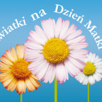 dzien-matki